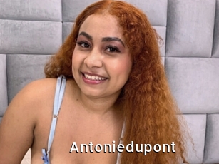 Antoniedupont