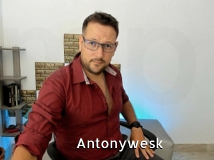 Antonywesk