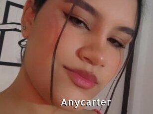 Anycarter