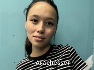 Arachesser