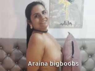 Araina_bigboobs