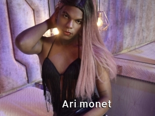 Ari_monet