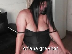 Ariana_greyhot