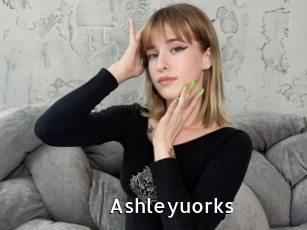 Ashleyuorks