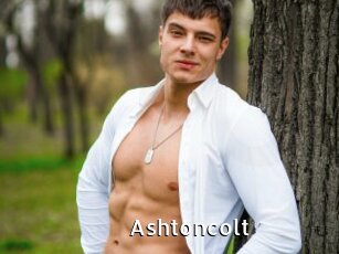 Ashtoncolt
