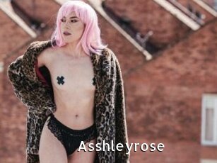 Asshleyrose