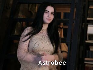 Astrobee