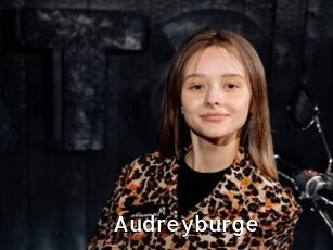Audreyburge