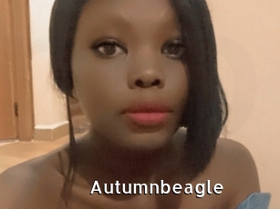 Autumnbeagle
