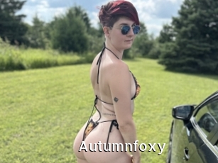 Autumnfoxy