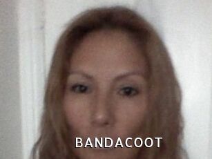 BANDACOOT