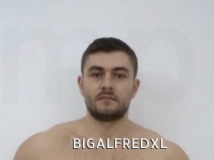 BIGALFREDXL
