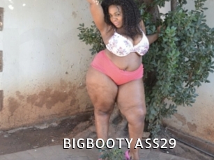 BIGBOOTYASS29 My Porno Stash