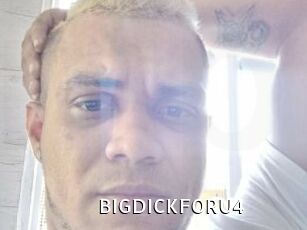 BIGDICKFORU4