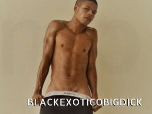 BLACKEXOTICOBIGDICK My Porno Stash