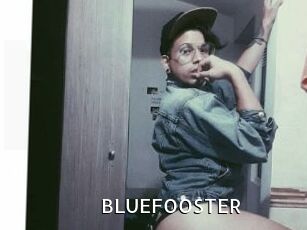 BLUEFOOSTER My Porno Stash