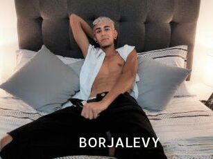 BORJALEVY