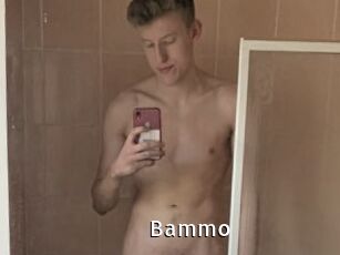 Bammo