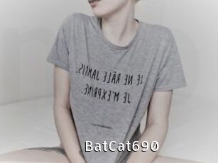 BatCat690
