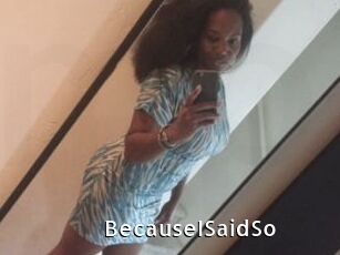BecauseISaidSo
