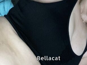 Bellacat