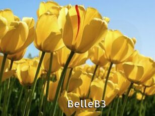 BelleB3