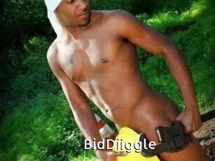 BidDjiggle