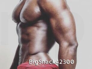 BigSnack42300