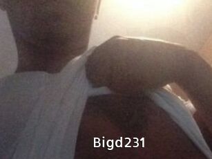 Bigd231