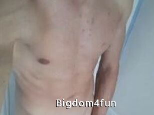 Bigdom4fun