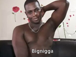 Bignigga