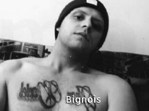 Bignois
