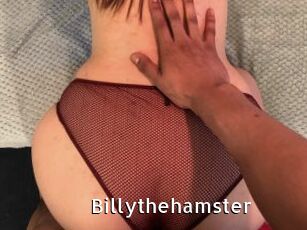 Billythehamster