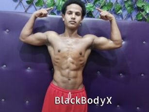BlackBodyX