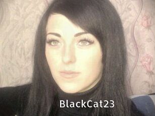 BlackCat23