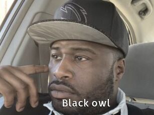 Black_owl