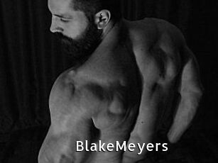 BlakeMeyers