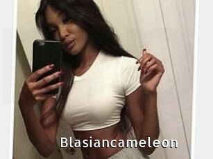 Blasiancameleon