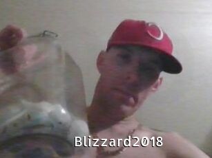 Blizzard2018