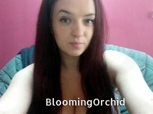 BloomingOrchid My Porno Stash