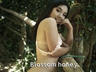 Blossom_honey