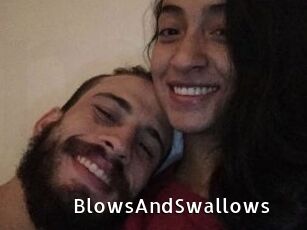 BlowsAndSwallows