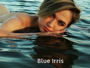 Blue_Irris