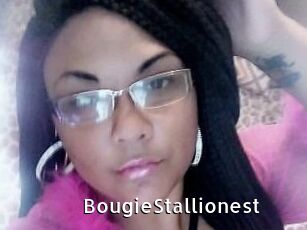 BougieStallionest