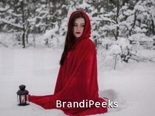 BrandiPeeks My Porno Stash