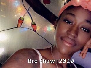 Bre_Shawn2020