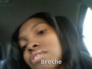Breche