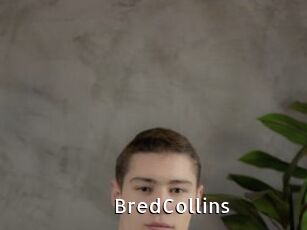 BredCollins My Porno Stash