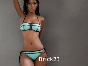 Brick23