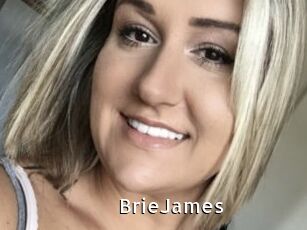 BrieJames My Porno Stash